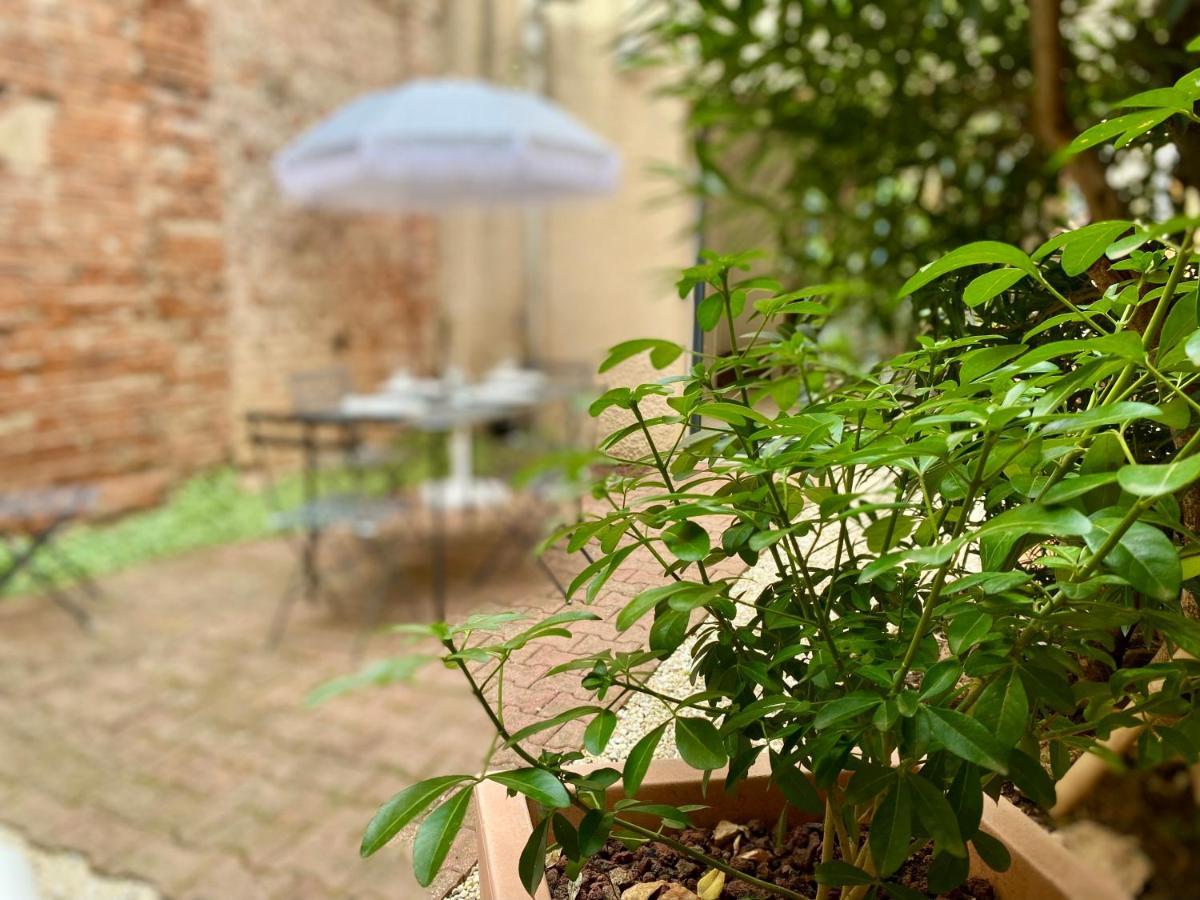 L'Improbable Rendez-Vous Apartment Montauban Exterior foto